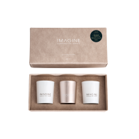 Votive Candle Set - Lemongrass, Persian Lime, Watermelon, Lemonade Exotica